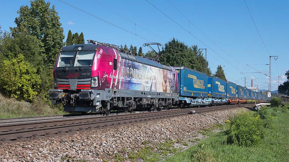 6193 181 Freilassing